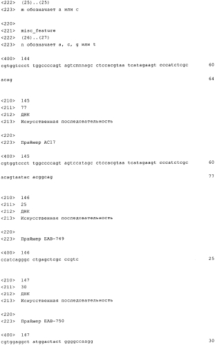 Гуманизированные моноклональные антитела к сеа с созревшей аффинностью (патент 2570554)