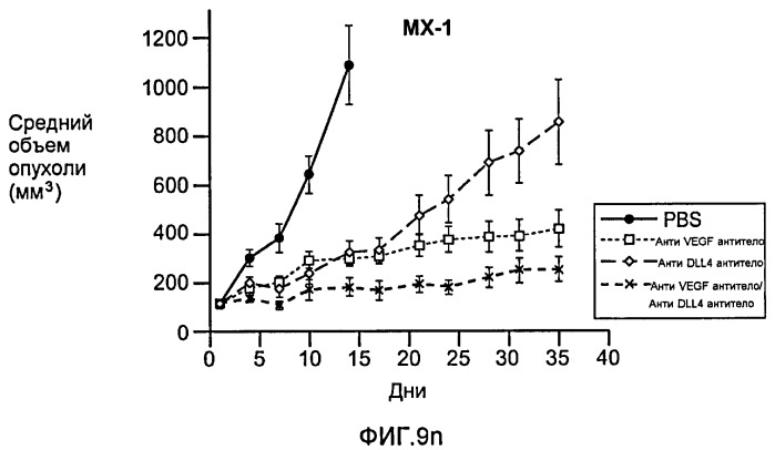 Антитела против dll4 и способы их применения (патент 2415869)