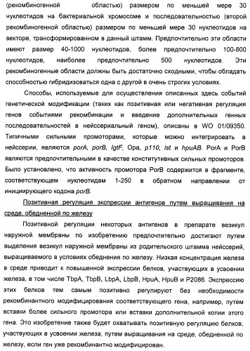 Нейссериальные вакцинные композиции, содержащие комбинацию антигенов (патент 2494758)