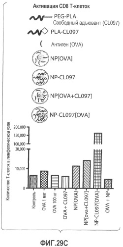 Включение адъюванта в иммунонанотерапевтические средства (патент 2496517)