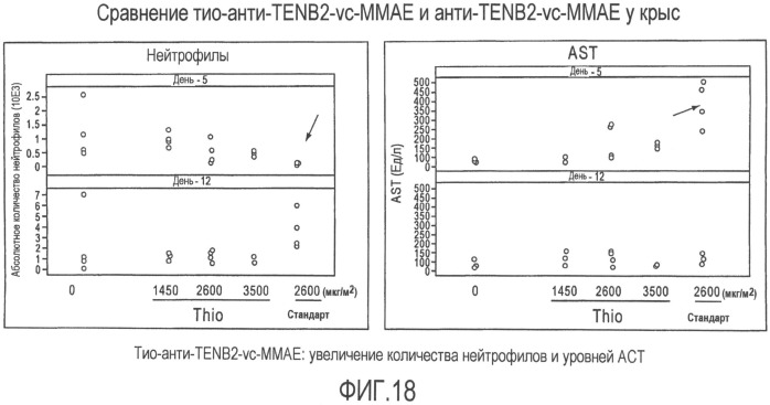 Антитела против tenb2, сконструированные с цистеином, и конъюгаты антитело - лекарственное средство (патент 2505544)