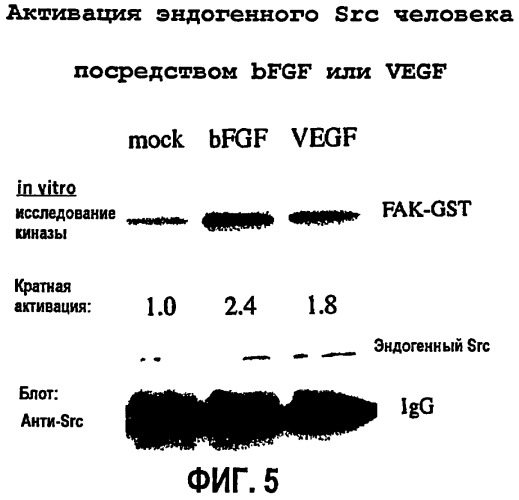 Модуляторы ангиогенеза и проницаемости сосудов (патент 2271216)