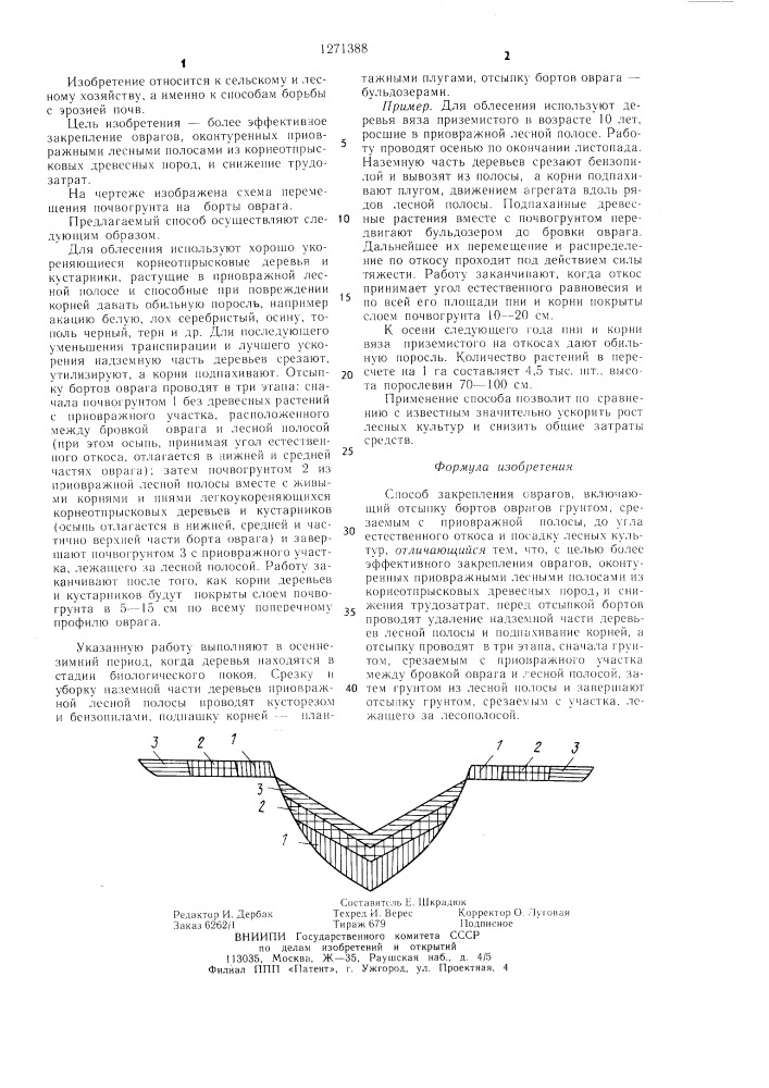 Способ закрепления оврагов (патент 1271388)