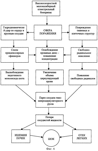 Способ исследования состояния сердечно-сосудистой системы при механическом повреждении и устройство для его осуществления (патент 2292837)