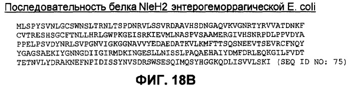 Бактериальные факторы вирулентности и варианты их применения (патент 2465331)