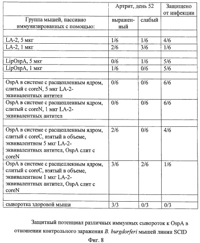 Частицы с расщепленным ядром, предназначенные для презентации чужеродных молекул, прежде всего для применения в вакцинах, и способ их получения (патент 2454462)