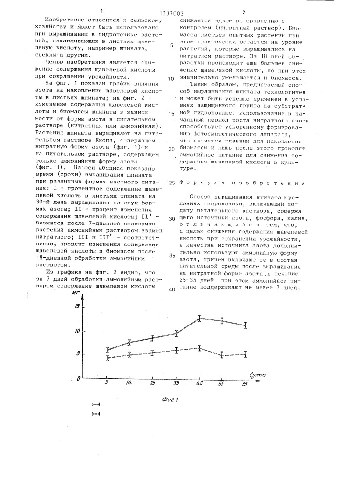 Способ выращивания шпината в условиях гидропоники (патент 1337003)