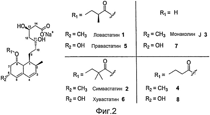 Способы получения симвастатина (патент 2447152)