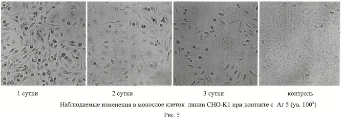 Способ определения цитотоксичности антигенов burkholderia pseudomallei in vitro (патент 2465592)