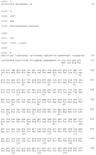 Рекомбинантная плазмида psvh0106, обеспечивающая синтез gl7aca-ацилазы в клетках escherichia coli, и рекомбинантный штамм escherichia coli bl21(de3)/psvh0106-продуцент gl7aca-ацилазы (патент 2300566)