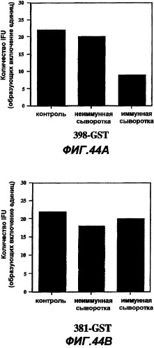 Иммунизация против chlamydia trachomatis (патент 2331435)