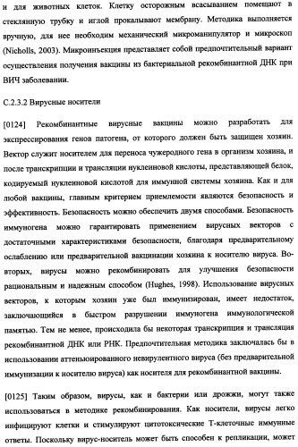 Иммуногенная композиция и способ разработки вакцины, основанной на участках матричного белка вич (патент 2403915)