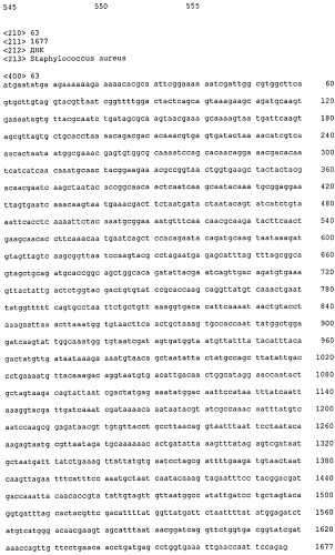 Иммуногенные композиции антигенов staphylococcus aureus (патент 2536981)