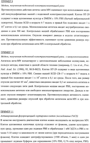 Антитела человека, обладающие активностью связывания c mn и нейтрализации клеточной адгезии (патент 2317998)