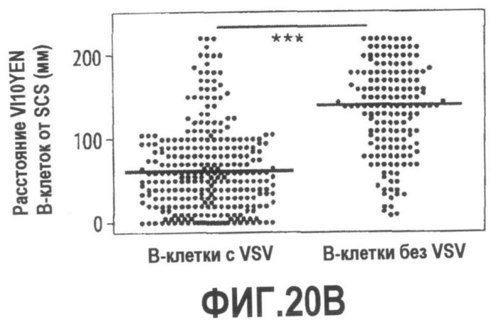 Включение адъюванта в иммунонанотерапевтические средства (патент 2496517)