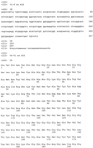 Psma×cd3 биспецифическое одноцепочечное антитело с межвидовой специфичностью (патент 2559531)