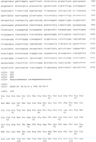 Pscaxcd3, cd19xcd3, c-metxcd3, эндосиалинxcd3, epcamxcd3, igf-1rxcd3 или fap-альфаxcd3 биспецифическое одноцепочечное антитело с межвидовой специфичностью (патент 2547600)