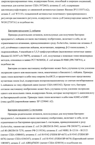 Способ получения l-аминокислот с использованием бактерии, принадлежащей к роду escherichia, в которой инактивирован один или несколько генов, кодирующих малые рнк (патент 2395567)