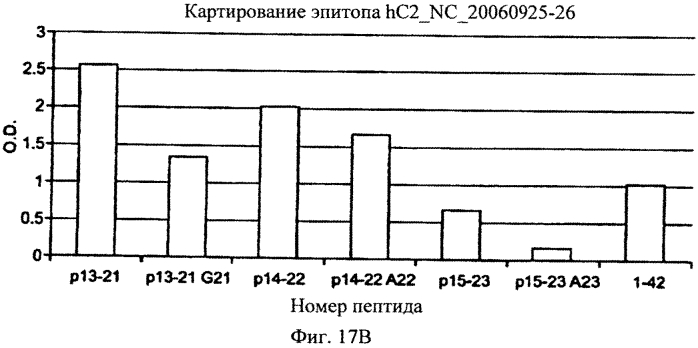 Применение антитела против амилоида-бета при глазных заболеваниях (патент 2571859)