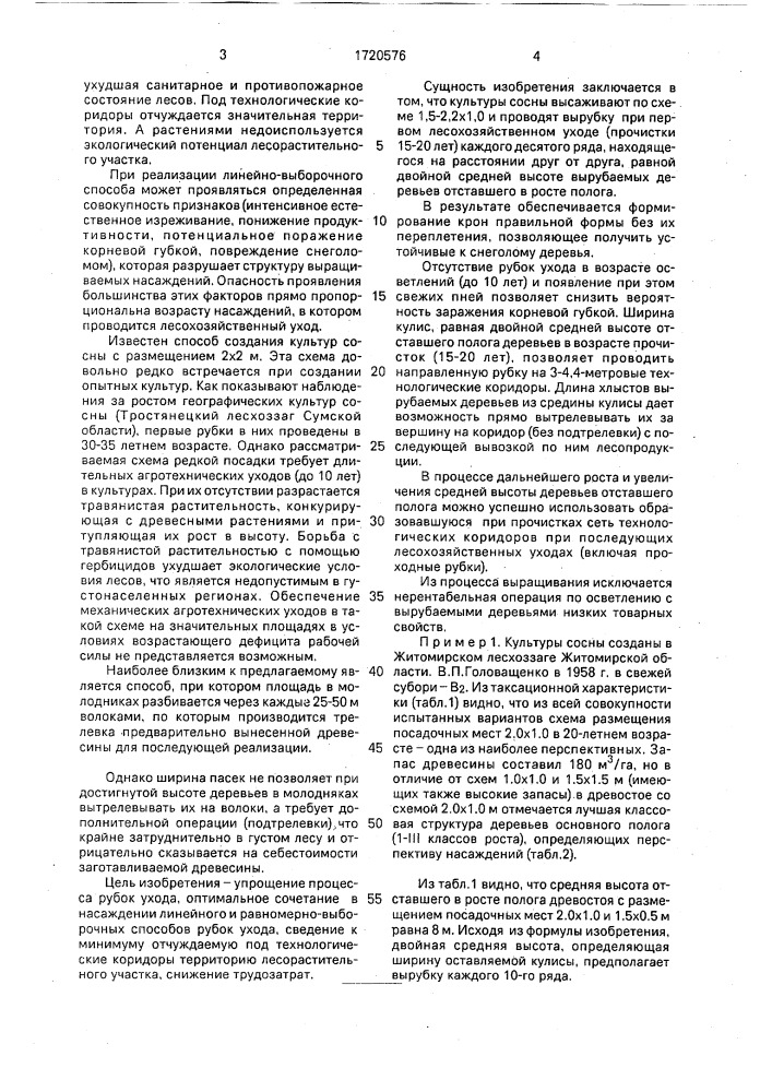 Способ выращивания сосновых насаждений (патент 1720576)