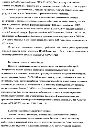 Способ получения l-треонина с использованием бактерии, принадлежащей к роду escherichia, в которой инактивирован ген fhua (патент 2333955)
