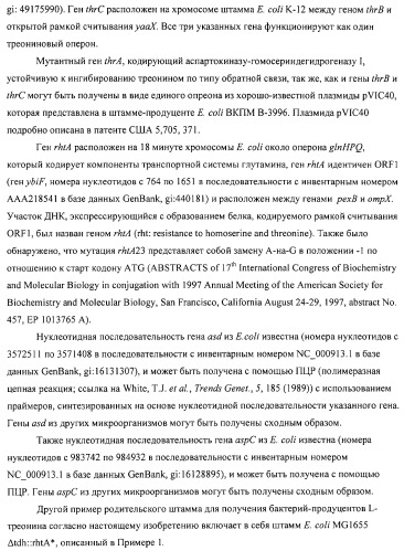 Способ получения l-аминокислот с использованием бактерии, принадлежащей к роду escherichia (патент 2312893)