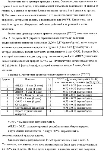 Поливалентные иммуногенные композиции pcv2 и способы получения таких композиций (патент 2488407)