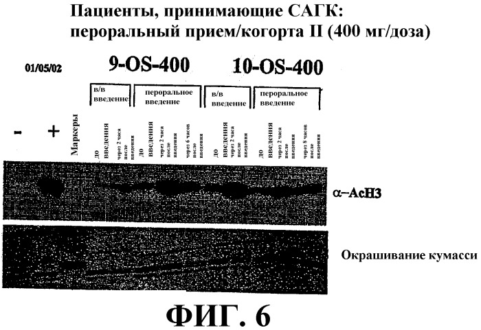 Способ индукции конечной дифференцировки (патент 2320331)