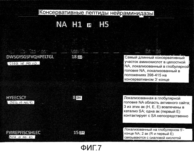 Иммуногенные композиции и способы (патент 2468034)