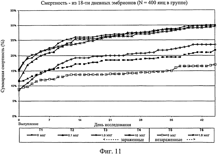 Усиленный иммунный ответ у видов птиц (патент 2570732)