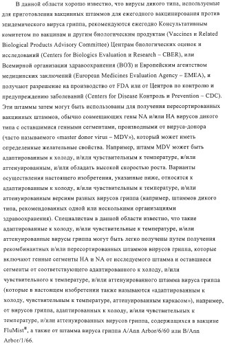 Линии клеток почки собаки майдин-дэрби (mdck), поддерживающие рост вирусов до высоких титров, и способ применения этих клеток в биореакторе (патент 2487935)