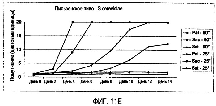 Микробиологически стабилизированное пиво (патент 2380400)