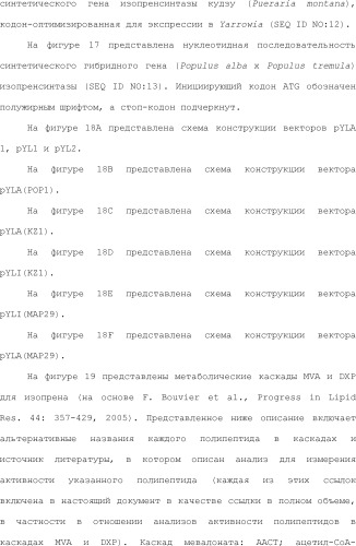 Полимеры изопрена из возобновляемых источников (патент 2505605)