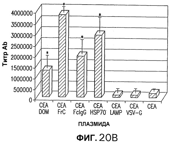 Слитые белки карциноэмбрионального антигена (патент 2380375)