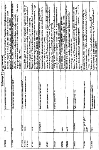 Гены corynebacterium glutamicum, кодирующие белки, участвующие в гомеостазе и адаптации (патент 2304616)