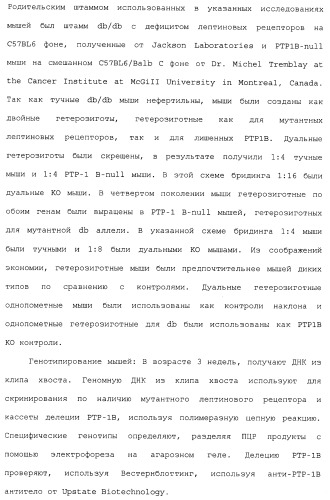 Комбинация агонистов альфа 7 никотиновых рецепторов и антипсихотических средств (патент 2481123)