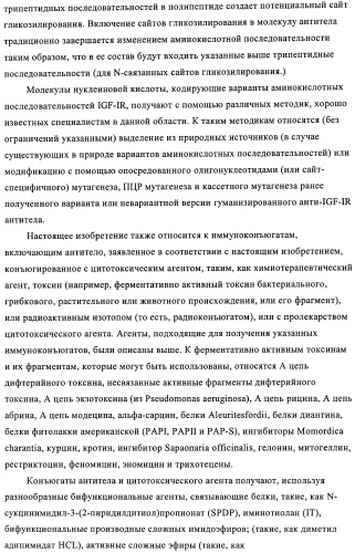 Антитела к рецептору инсулиноподобного фактора роста i и их применение (патент 2363706)