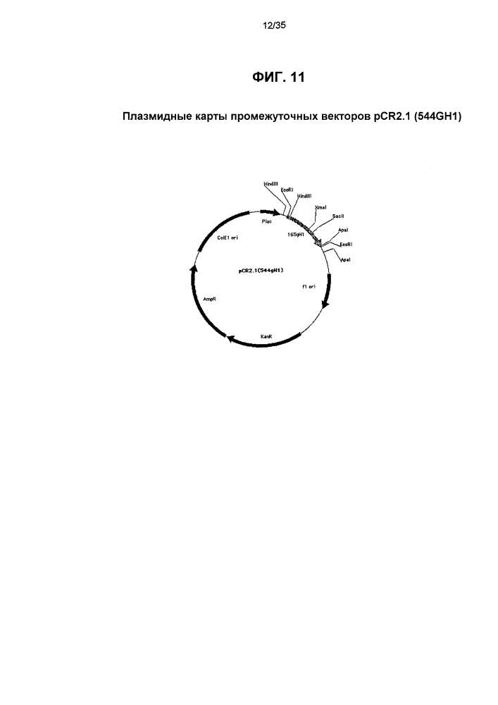 Конъюгаты "производное калихеамицина-носитель" (патент 2602878)