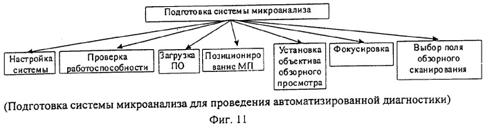 Способ микроскопического исследования образца (патент 2318201)