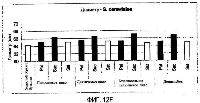 Микробиологически стабилизированное пиво (патент 2380400)