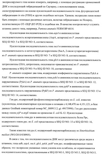 Бактерия семейства enterobacteriaceae - продуцент l-аспарагиновой кислоты или метаболитов, производных l-аспарагиновой кислоты, и способ получения l-аспарагиновой кислоты или метаблитов, производных l-аспарагиновой кислоты (патент 2472853)