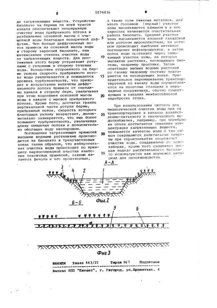 Система биологической очистки воды в каналах хозяйственно- питьевого и технического водоснабжения (патент 1074836)