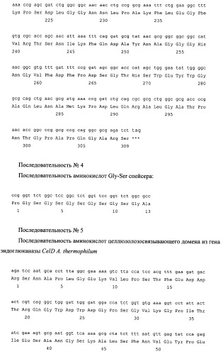 Рекомбинантная плазмида pag85a-cbd, штамм escherichia coli [prep4, pag85a-cbd], химерный белок ag85a-cbd и их применение (патент 2429292)