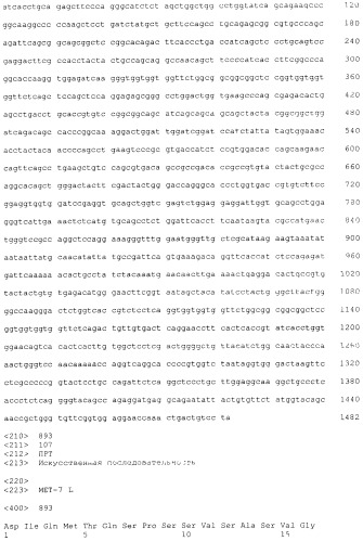 Pscaxcd3, cd19xcd3, c-metxcd3, эндосиалинxcd3, epcamxcd3, igf-1rxcd3 или fap-альфаxcd3 биспецифическое одноцепочечное антитело с межвидовой специфичностью (патент 2547600)