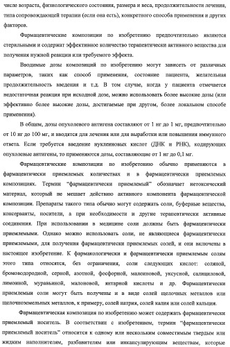 Идентификация опухолевых антигенов для диагностики и терапии (патент 2485974)