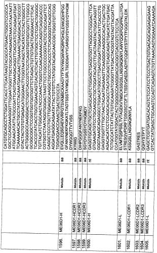 Pscaxcd3, cd19xcd3, c-metxcd3, эндосиалинxcd3, epcamxcd3, igf-1rxcd3 или fap-альфаxcd3 биспецифическое одноцепочечное антитело с межвидовой специфичностью (патент 2547600)