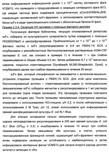 Антитела-нейтрализаторы гранулоцитарно-макрофагального колониестимулирующего фактора человека (патент 2458071)