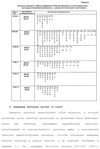 Белки, связывающие il-12/p40 (патент 2461571)