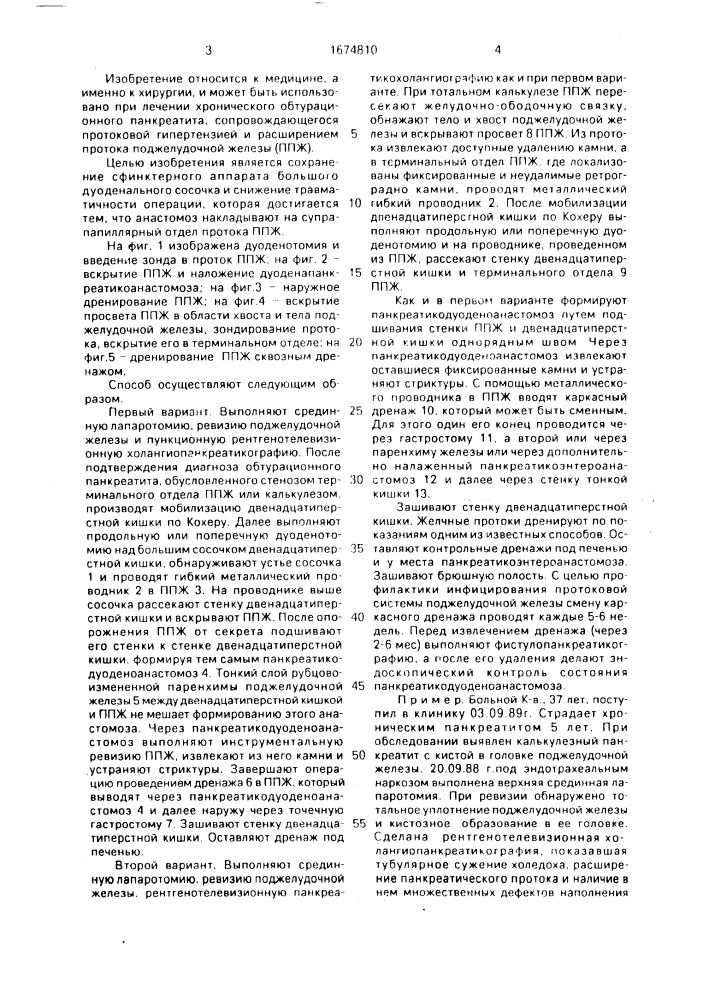 Способ лечения хронического обтурационного панкреотита (патент 1674810)