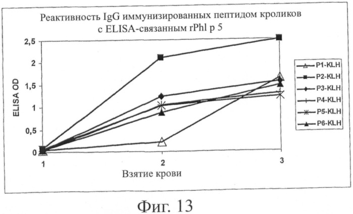 Гипоаллергенный слитый белок, молекула нуклеиновой кислоты, кодирующая его, вектор экспрессии, клетка-хозяин, вакцинная композиция и его применение (патент 2486206)